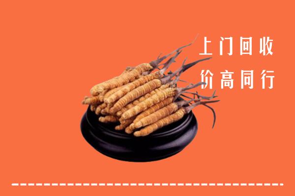 高价求购：喀什麦盖提回收散虫草