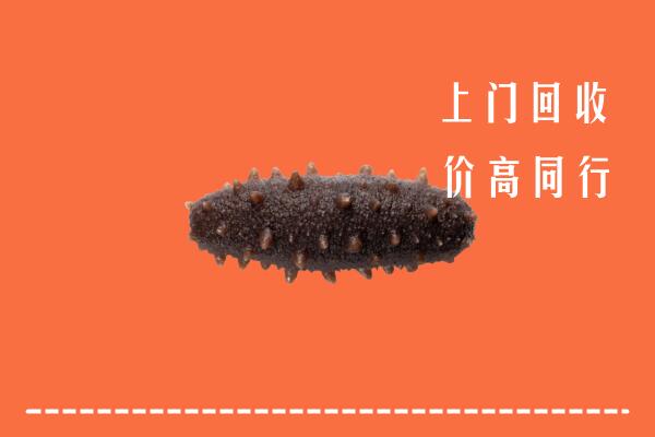 喀什麦盖提回收海参
