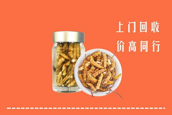 喀什麦盖提回收冬虫夏草