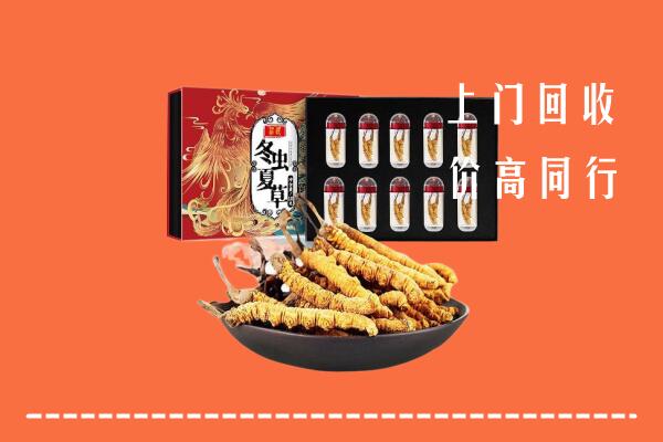 喀什麦盖提回收虫草